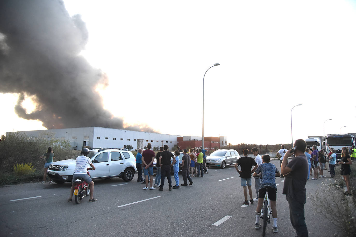 Imágenes del incendio en una aceitunera de Montehermoso