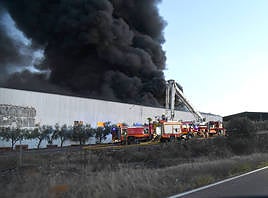 Imágenes del incendio en una aceitunera de Montehermoso