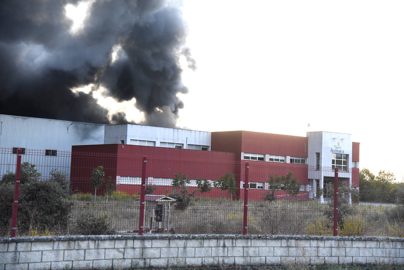 Imágenes del incendio en una aceitunera de Montehermoso