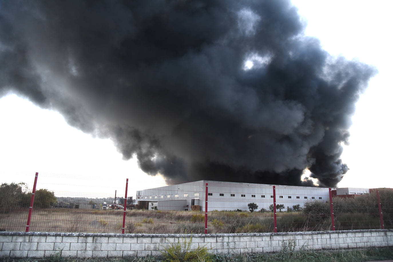 Imágenes del incendio en una aceitunera de Montehermoso