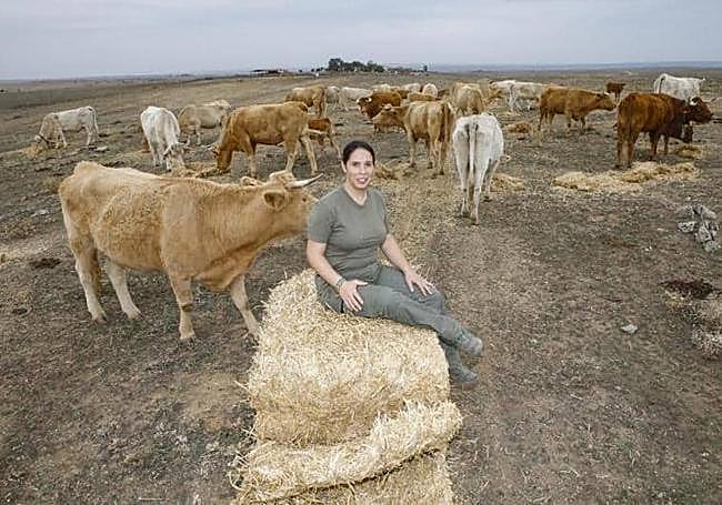 Ana Díaz, con su ganado vacuno en una finca de Alcántara.