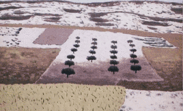 Una de las fotografías con las que José Manuel Ballester homenajea a Ortega Muñoz.