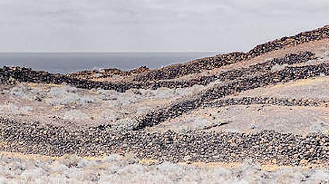 Imagen antes - El universo de Ortega Muñoz convertido en fotografías