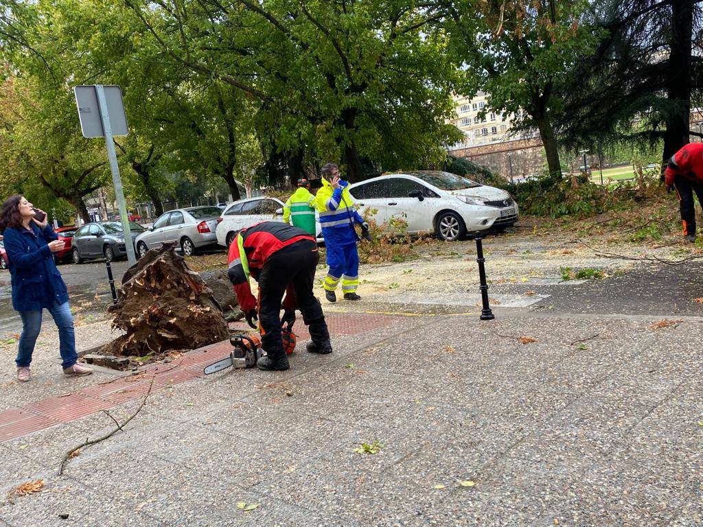 Efectos de la borrasca Aline en Badajoz