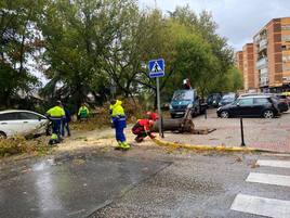 Efectos de la borrasca Aline en Badajoz