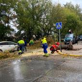 Efectos de la borrasca Aline en Badajoz