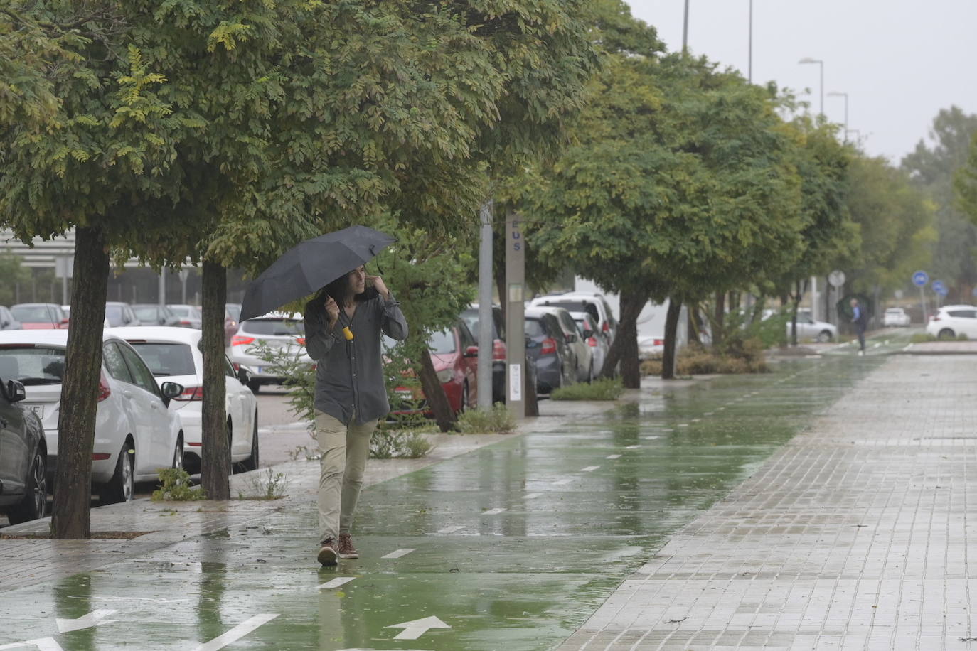 Efectos de la borrasca Aline en Badajoz