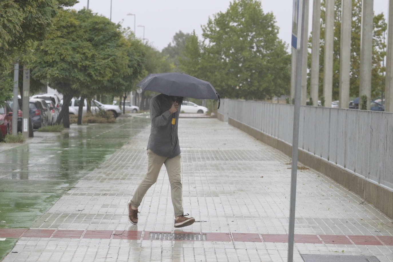 Efectos de la borrasca Aline en Badajoz