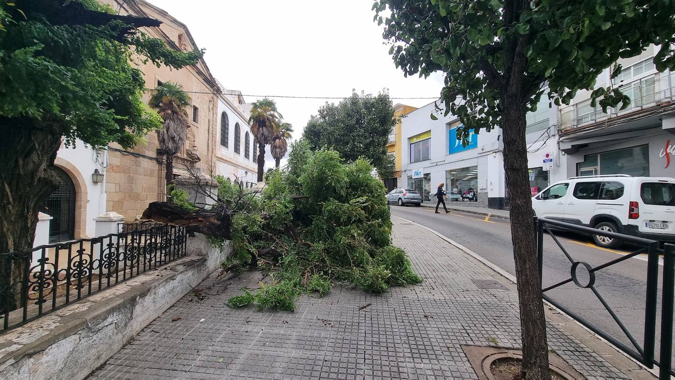 La borrasca Aline a su paso por Mérida