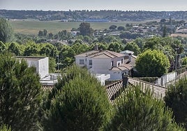 La urbanización Las Vaguadas.