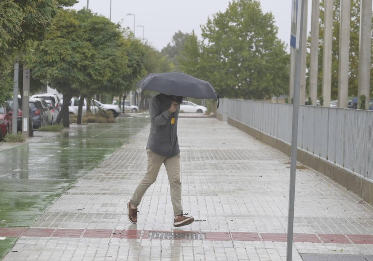 Una nueva borrasca pone a Extremadura en alerta por lluvia y viento este domingo