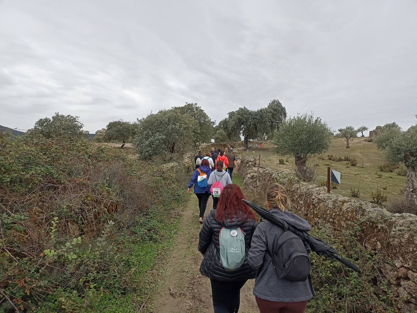 Unas 400 personas participan en la V Marcha Rosa de Alburquerque