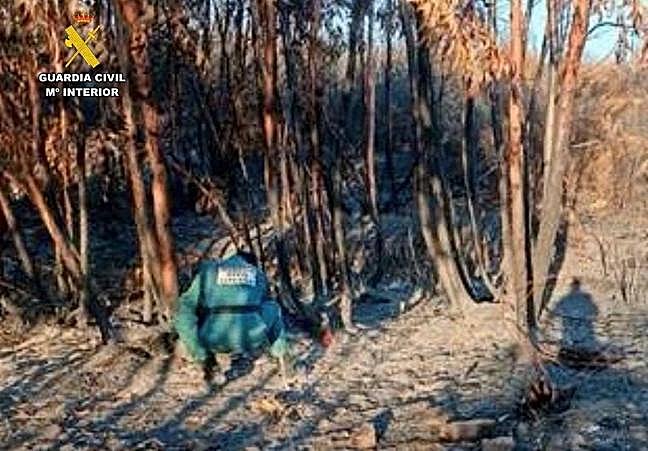 Un agente de la Guardia Civil tomando muestras en la zona arrasada por el fuego.