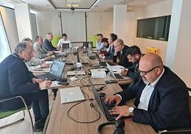 Grupo de trabajo FACE-MED.