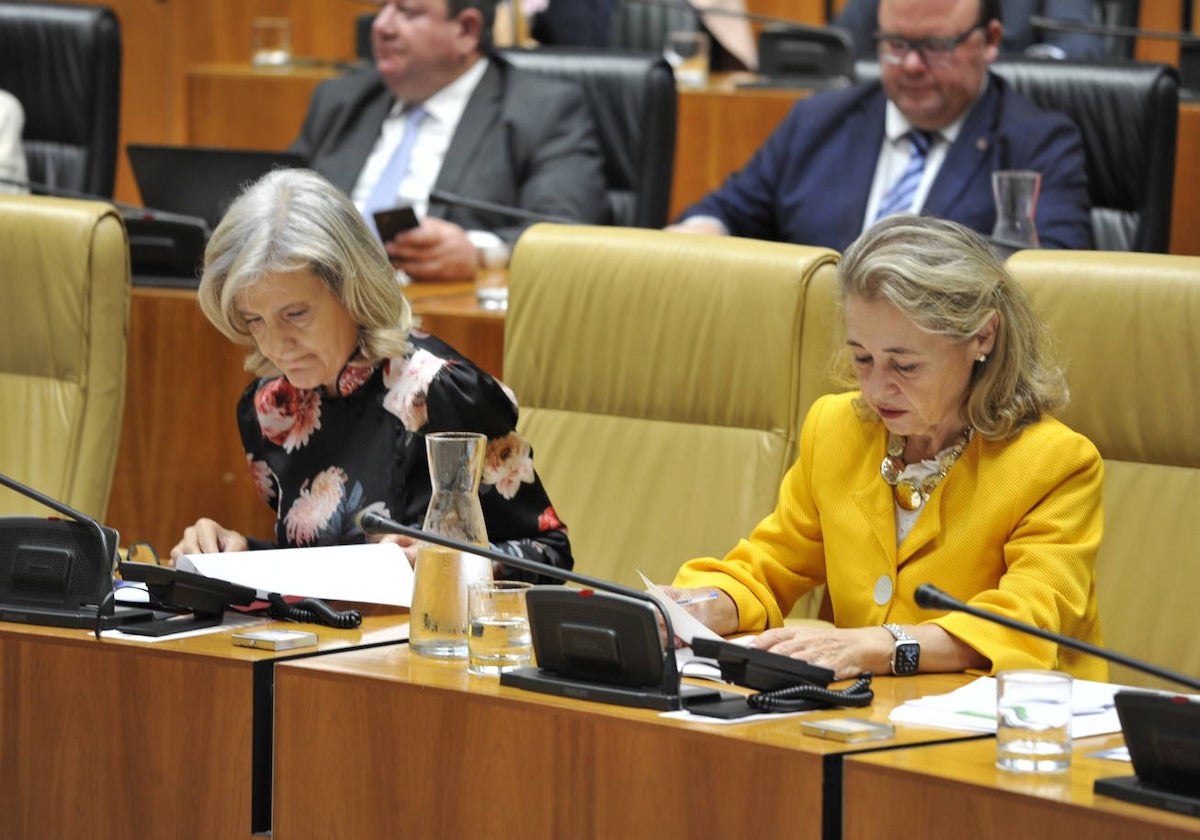 Las consejeras de Cultura y Educación, Victoria Bazaga y Mercedes Vaquera, en un pleno en la Asamblea.