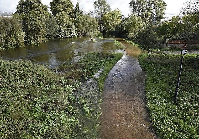 Aspecto del paseo fluvial junto al Puente Nuevo de Plasencia.