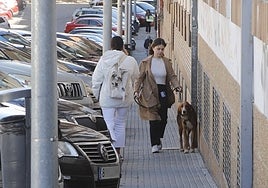 Calle Médico Sorapán, cuya remodelación integral se aprobó hace ya 19 meses.