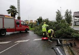 Efectos de la borrasca Ciarán en Extremadura