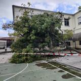 Localidades extremeñas más lluviosas y con las mayores rachas de viento este jueves