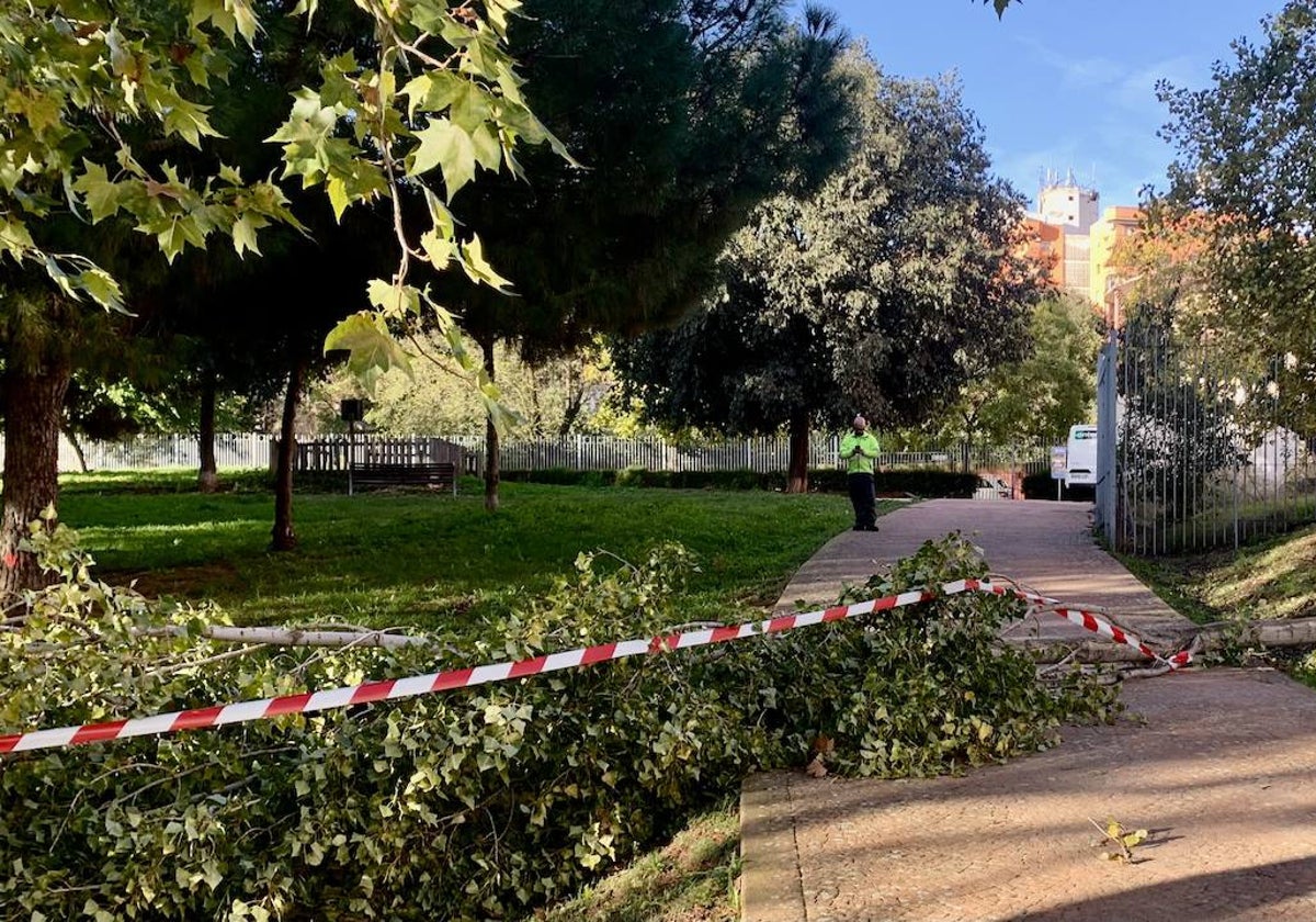 Parque del Rodeo, que tenía una zona precintada este viernes para evitar riesgos. Este sábado vuelve a cerrar por alerta de fuertes rachas de viento junto al resto de parques.