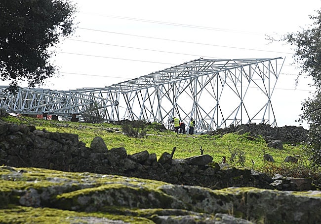 Operarios trabajando el pasado jueves en una de las torres.