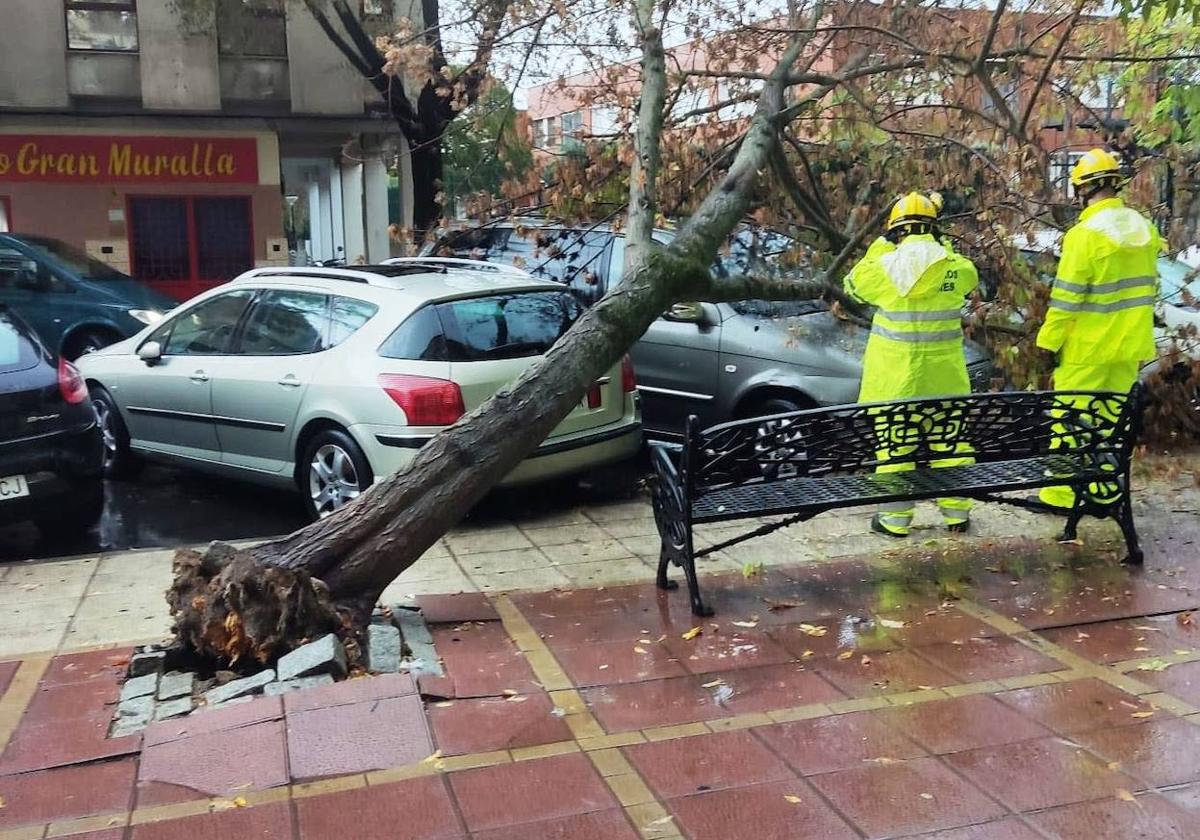 Ampliada a toda Extremadura la alerta por fuertes vientos