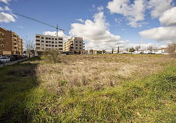 Terrenos de Casa Plata-Maltravieso donde se construirán los pisos.