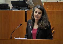 Irene de Miguel, este jueves en la Asamblea.