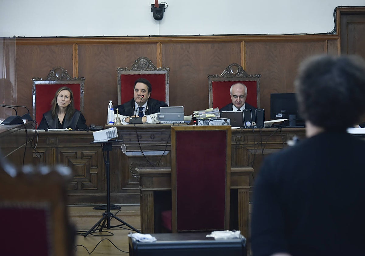 La acusada, de espaldas, durante el juicio que se celebró en la Audiencia.