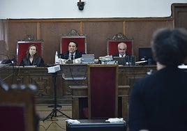 La acusada, de espaldas, durante el juicio que se celebró en la Audiencia.