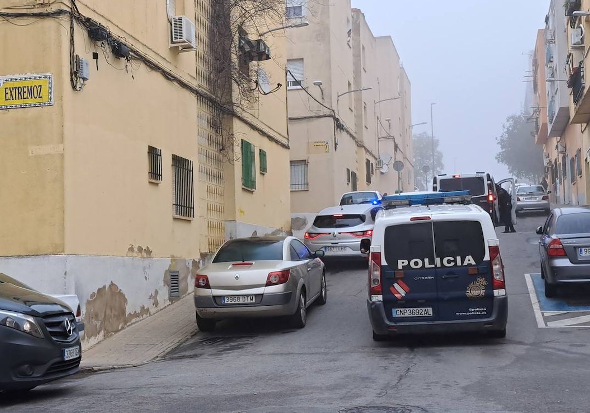 La Policía Nacional durante la detención y los registros que realizó en Badajoz.