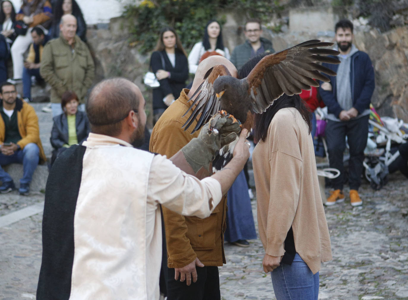 Las rapaces regresan al Mercado Medieval de Cáceres