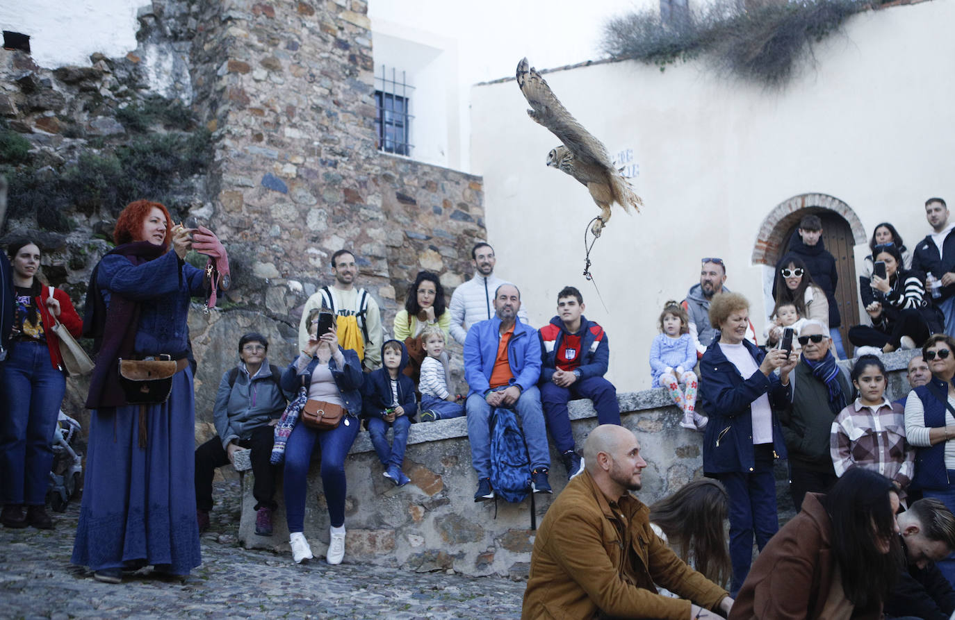 Las rapaces regresan al Mercado Medieval de Cáceres