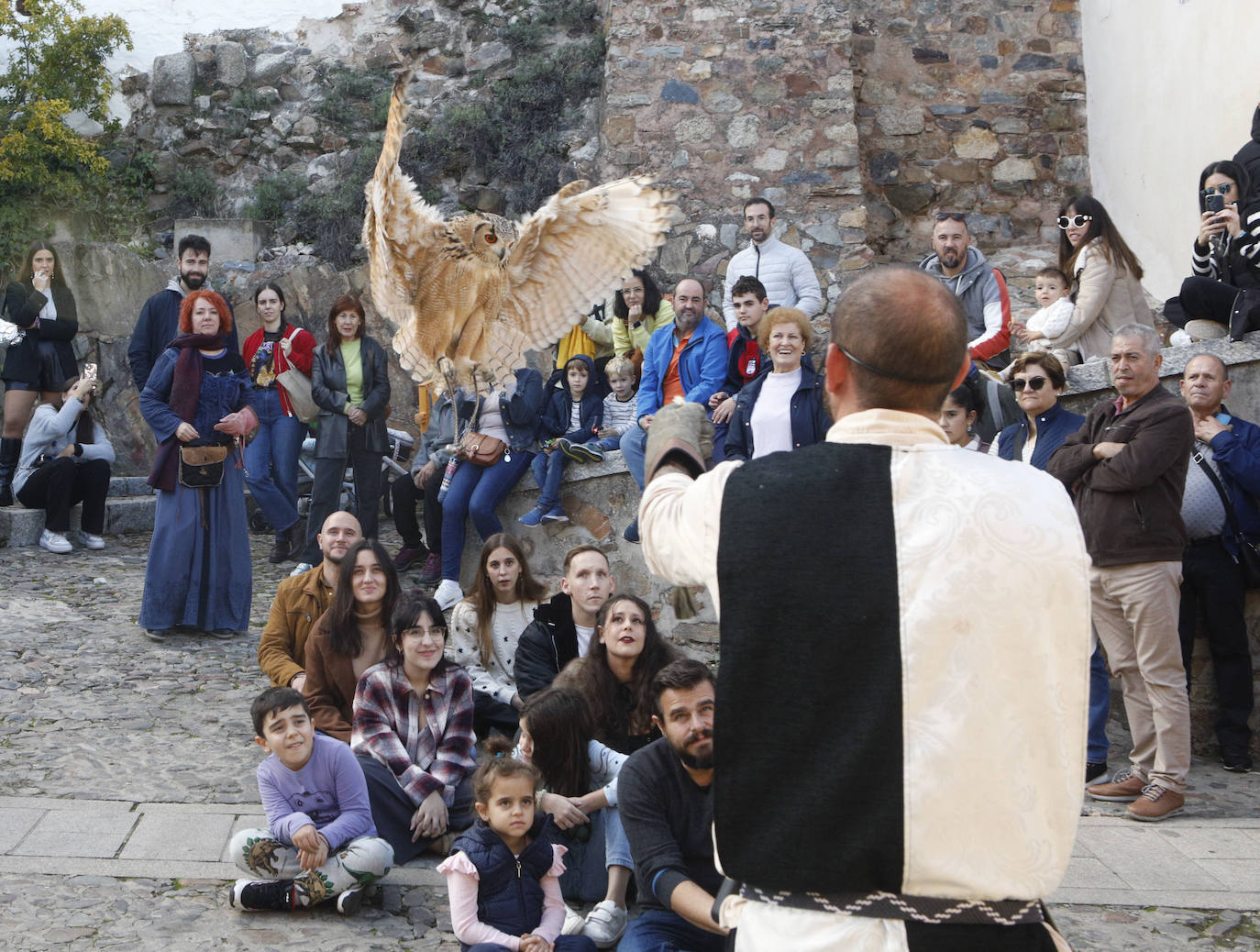 Las rapaces regresan al Mercado Medieval de Cáceres