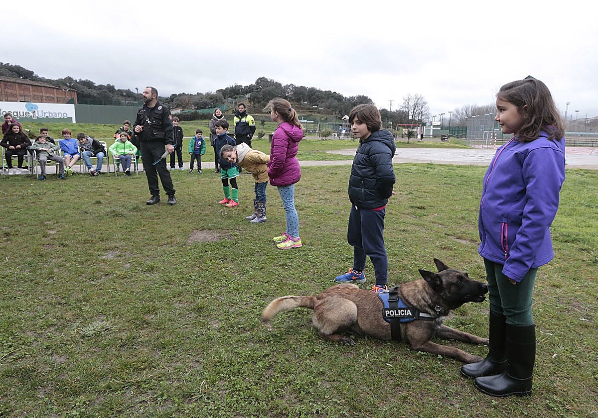Demostración de un perro policía de Plasencia en un club de la ciudad.