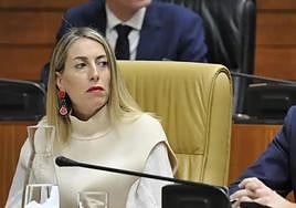 Guardiola afirma que la Junta «siempre va a defender la libertad de las mujeres»