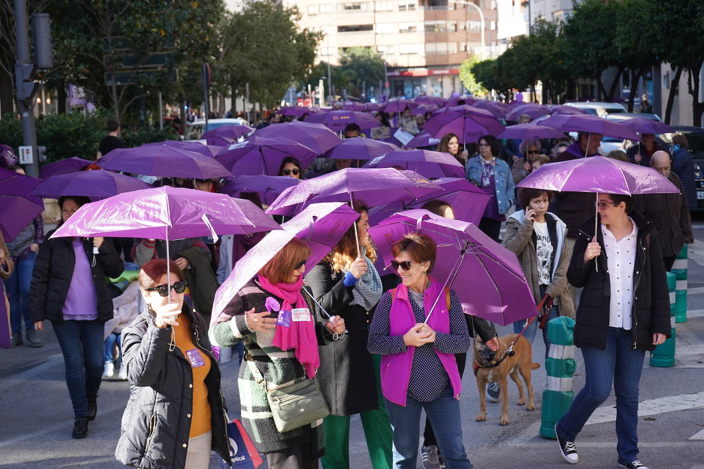 Manifestación en Badajoz con motivo del 25-N