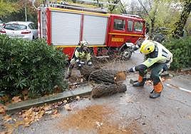 Los bomberos cortando el árbol que ha caído sobre un coche en el parque del Príncipe.