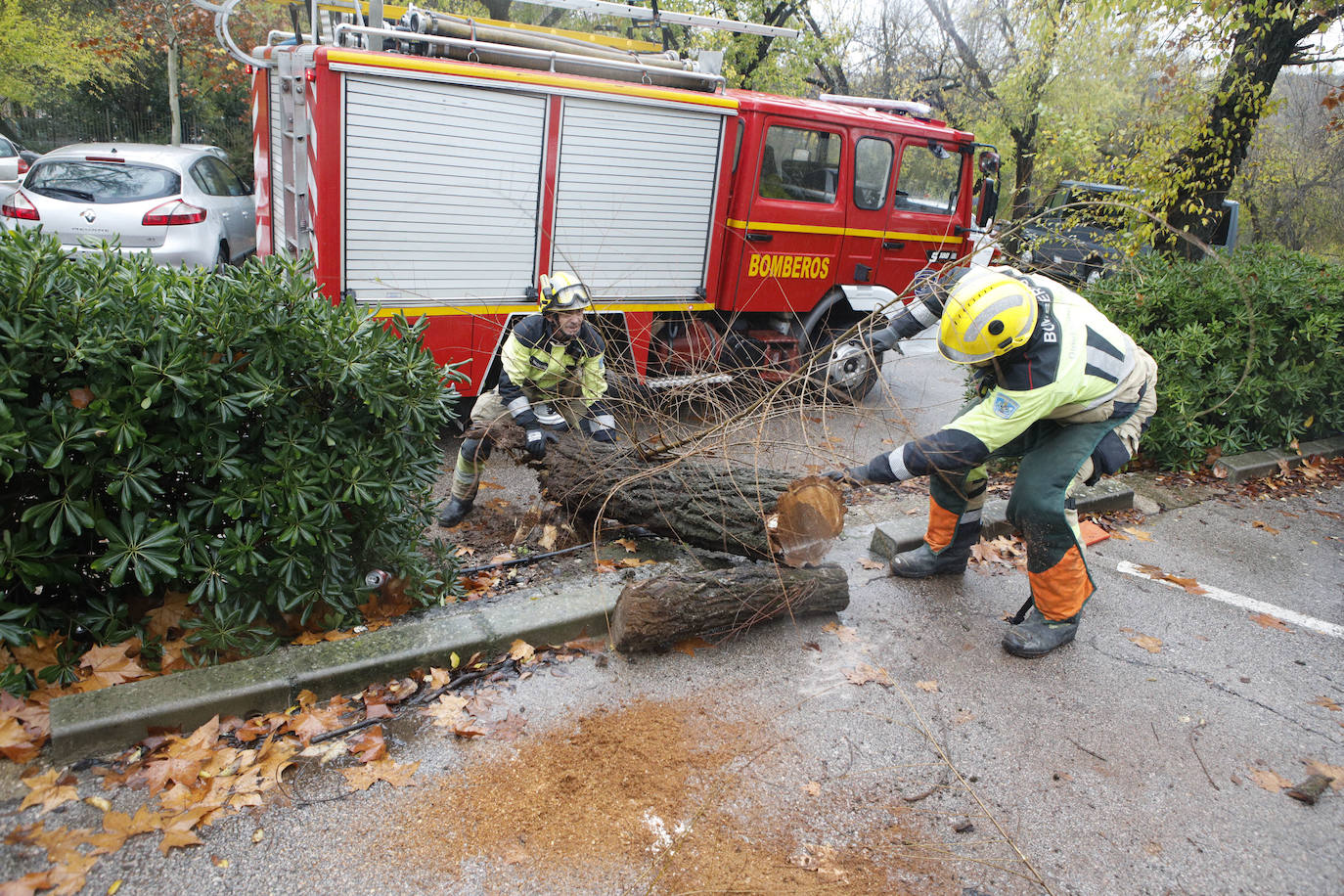 Los bomberos cortando el árbol que ha caído sobre un coche en el parque del Príncipe.