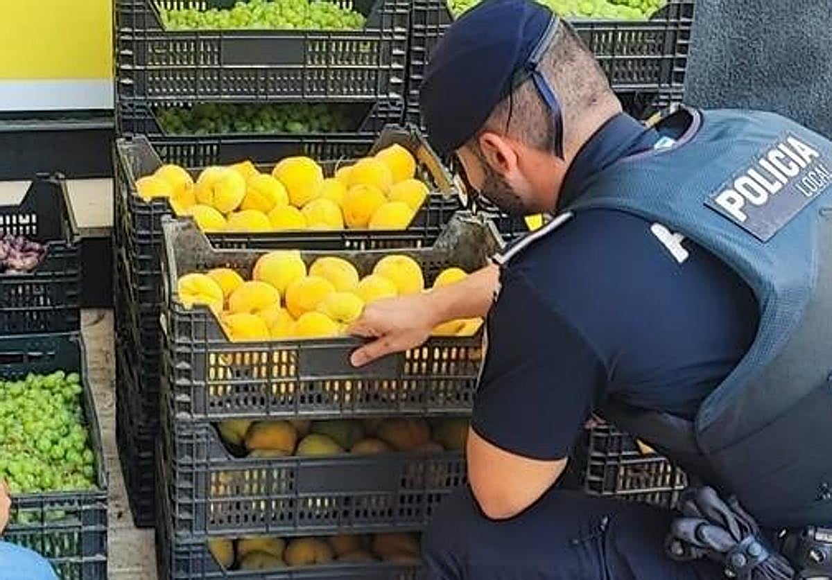Investigado un clan familiar por robar 17.000 kilos de fruta en explotaciones de Badajoz