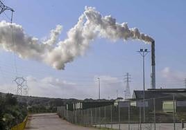 Almazara en la que ha ocurrido el accidente, en Expacio Mérida.