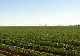 Se corresponden con expedientes que no se habían pagado el 16 de octubre.