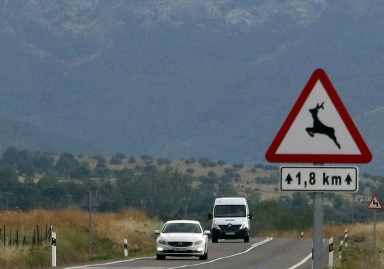 Animales y coches, cuanto más lejos mejor