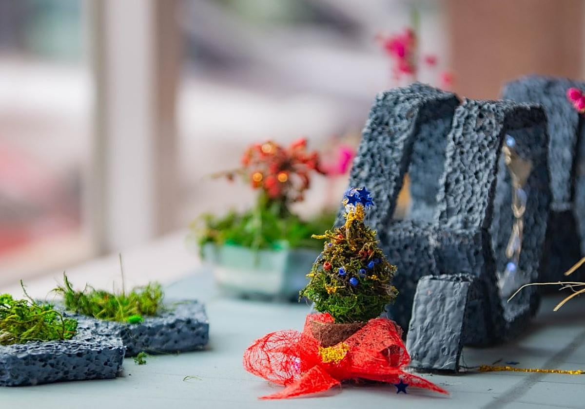 El arbolino más chico del mundo