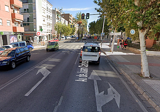Avenida Juan Carlos I, en Mérida.