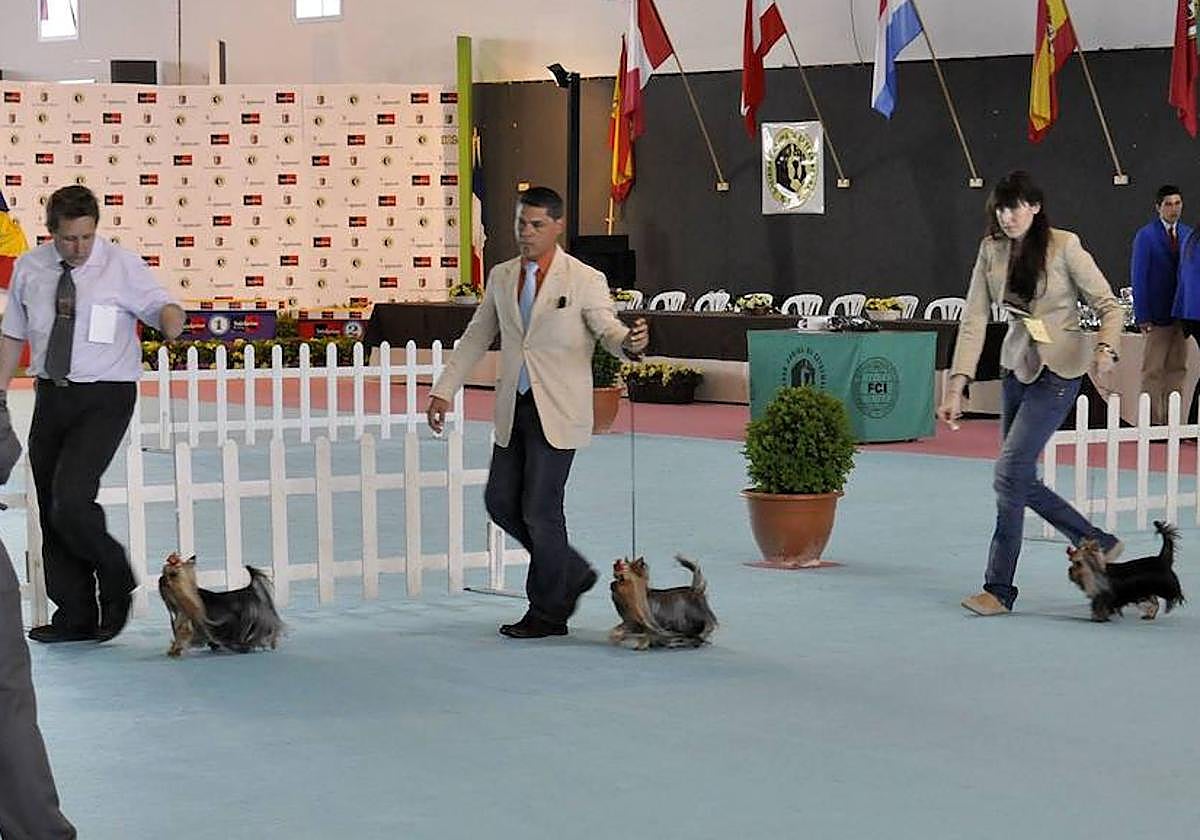 Imagen de archivo de un concurso de perros en Badajoz.