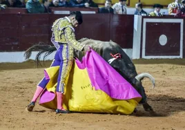 Alejandro Talavante será el único matador de toros extremeños en Olivenza