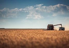 El presupuesto del plan ha crecido en 26,8 millones de euros, el 10,3%.