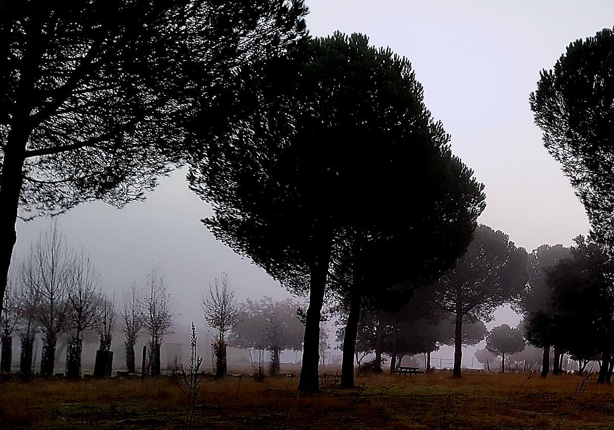 Niebla en La Siberia extremeña.