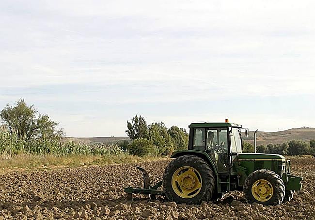 Para poner coto a la despoblación.